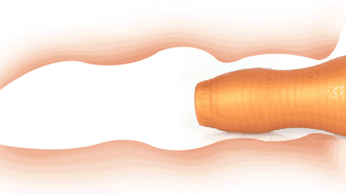 【レビュー配信】初産卵プレイをしました！ TaRiss`s