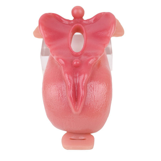 NIGHTLOOM 女性用オナホ 外陰部の模倣 凹凸あり ストラップ付き 液体シリコン 肌色 - TaRiss's