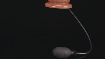 TaRiss's インフレート式アナルプラグ ディルド 2層構造 空気注入式 手動 シリコン