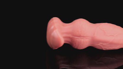 TaRiss's ディルド 突起あり アンカー形台座 シリコン