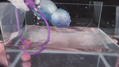 MAPARON 9点セット 魚の形 サンラン器 アナル玉5点 インフレート式 アナルプラグ 凹凸あり 台座付き 液体シリコン