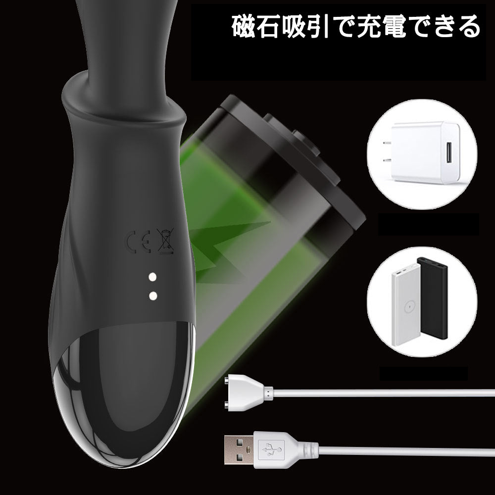 TaRiss's アナルバイブ アナルビーズ アナル開発 加温機能 10段階振動モード 2ビーズ 静音防水 シリコン ブラック 30mmx225mm - TaRiss's