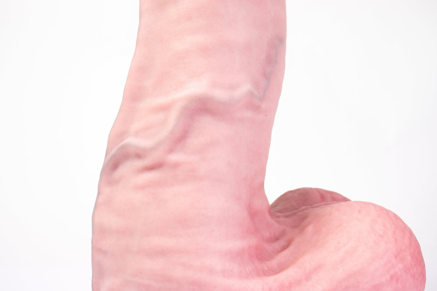 TaRiss's ディルド アナルプラグ 凹凸あり 吸盤仕様 液体シリコン「らいれい」 - TaRiss's