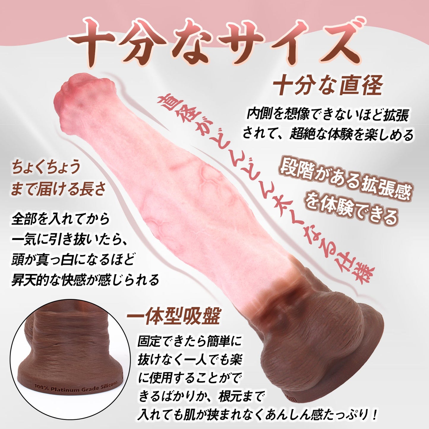 TaRiss's ディルド アナルプラグ 凹凸あり 吸盤仕様 液体シリコン 「ぎょうえい」 - TaRiss's