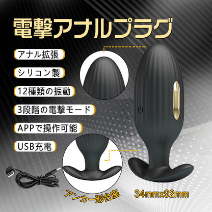 TaRiss's 電撃アナルプラグ アナルプラグ - TaRiss's