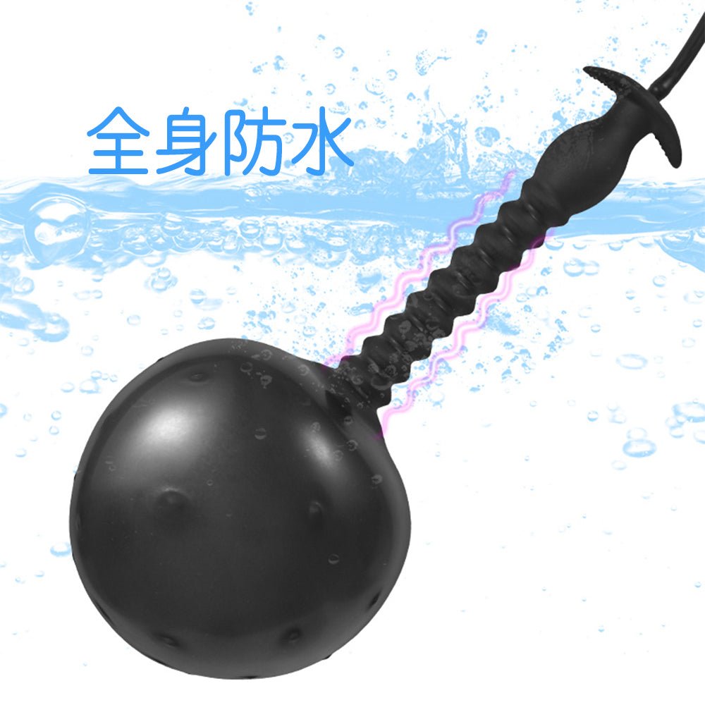 TaRiss's インフレート式アナルプラグ アナル拡張 空気注入式 - TaRiss's